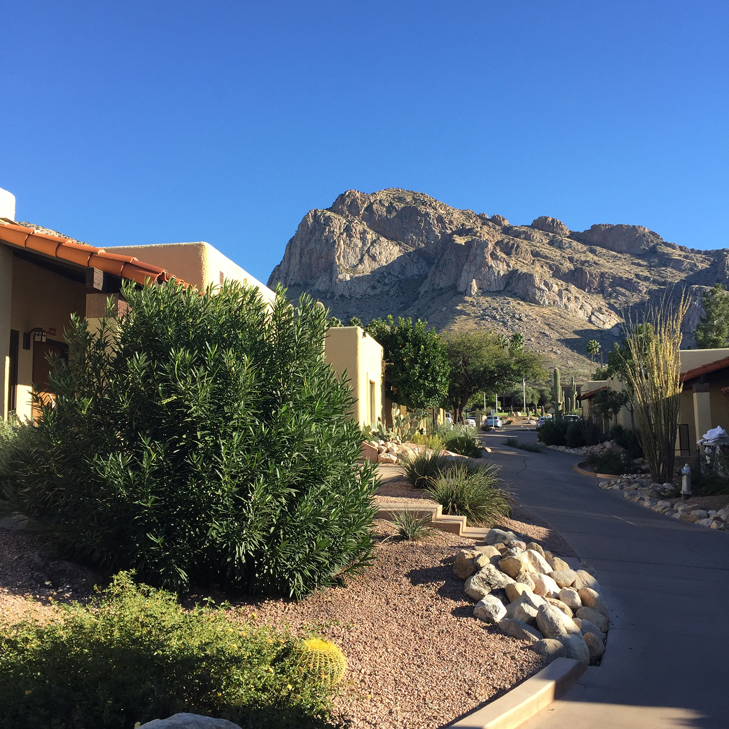 Our Tucson villa