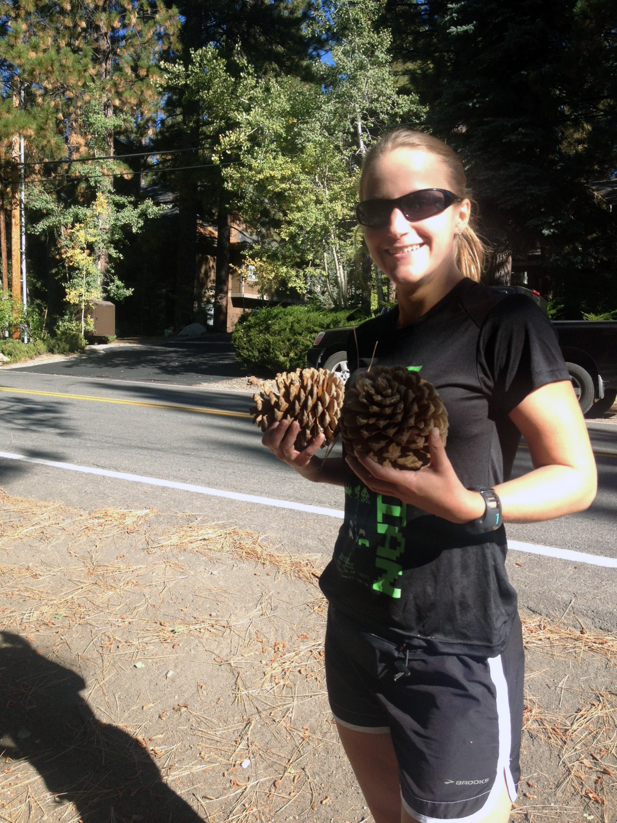 Pinecones