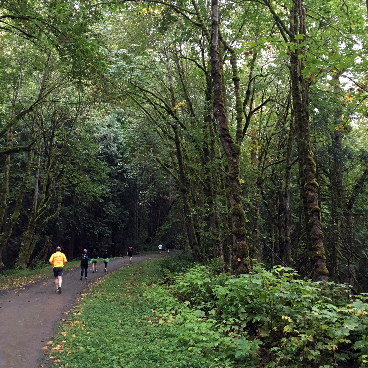 Snoqualmie Valley Trail