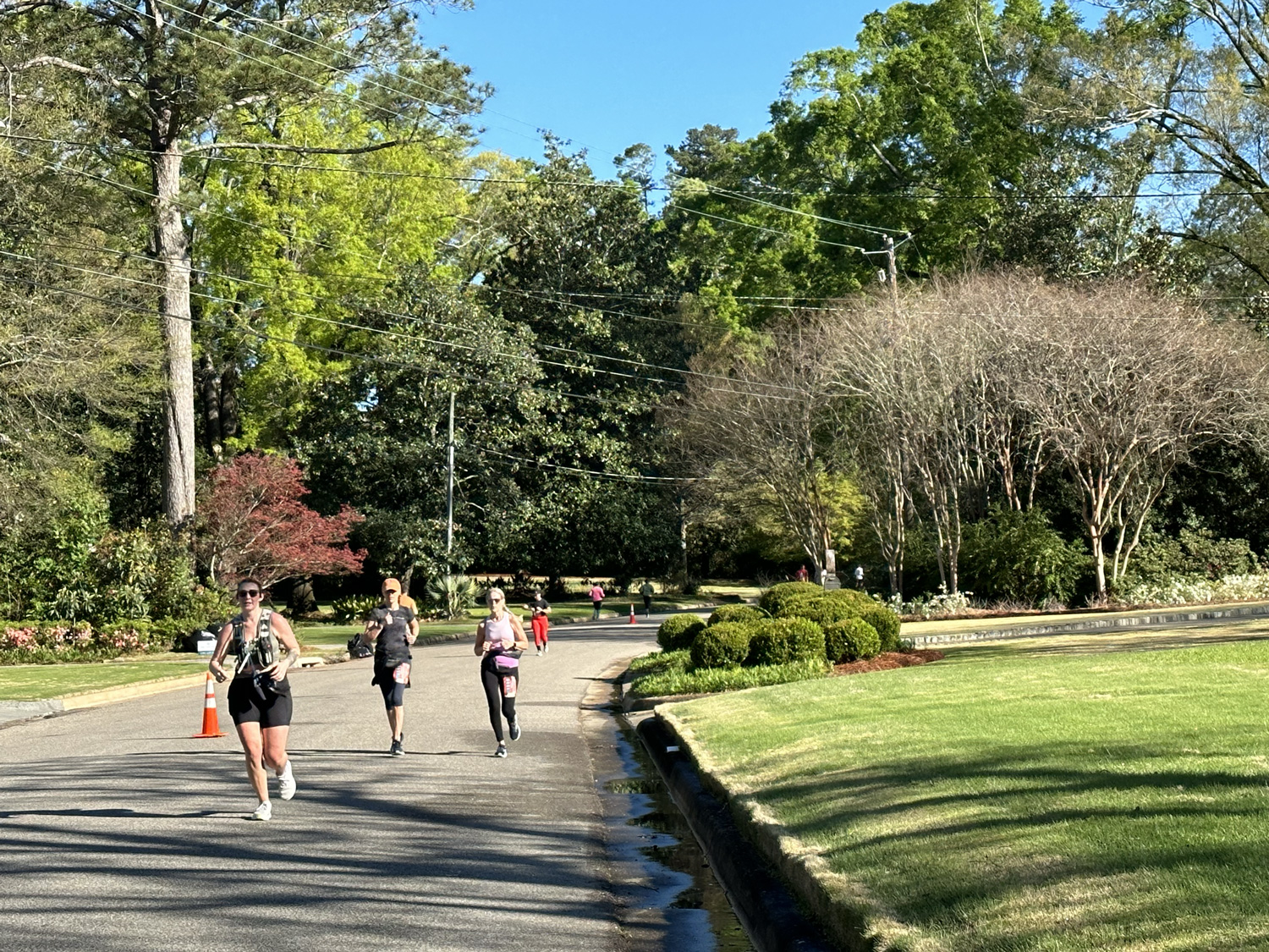 Running through Edgewood