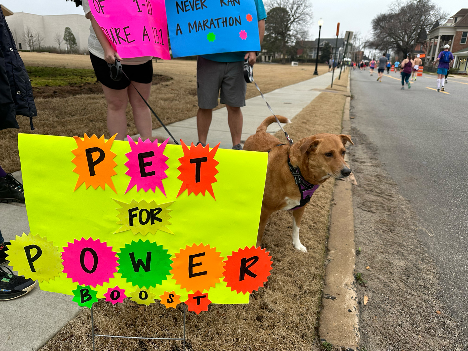 Dog by "Pet for Power" sign