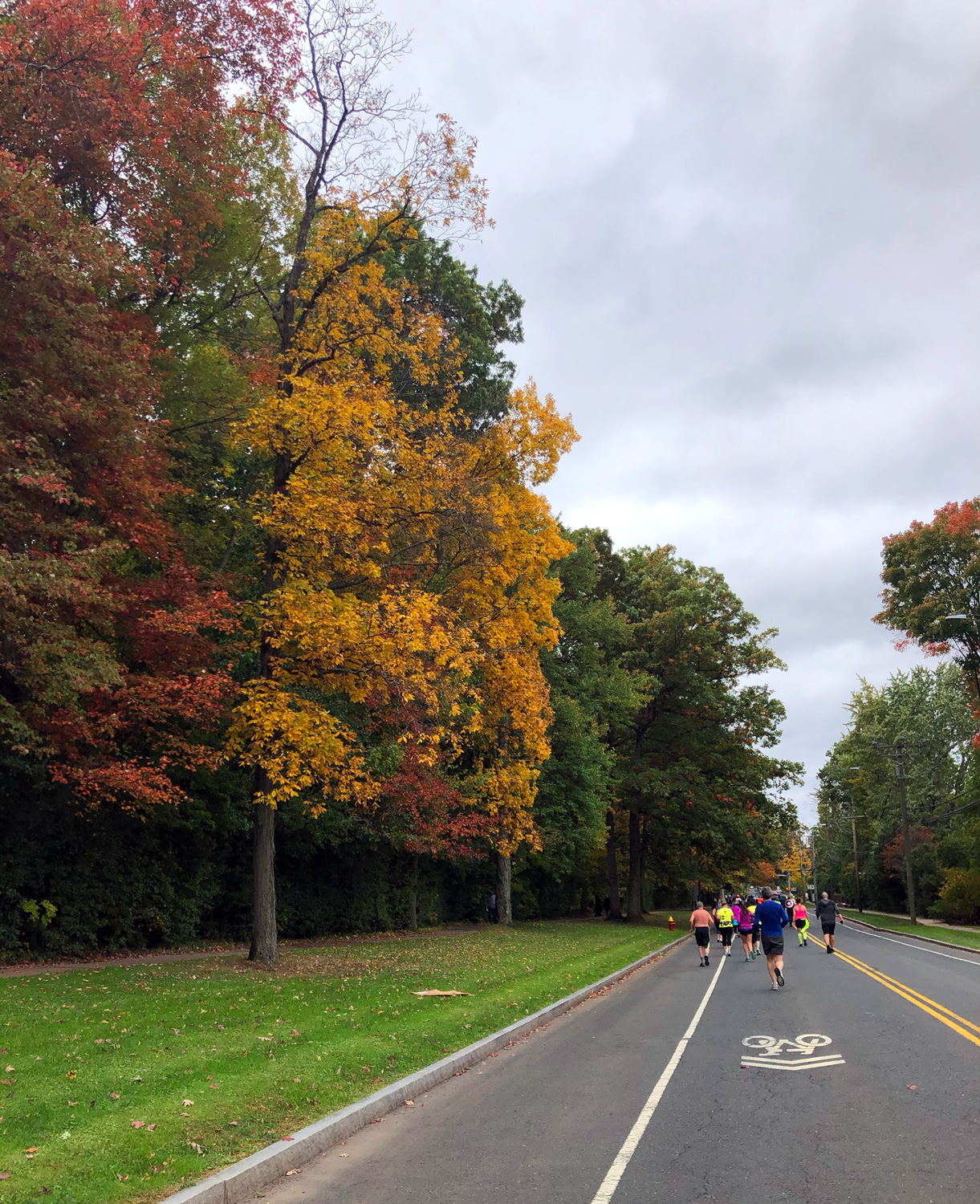 Fall colors in West Hartford