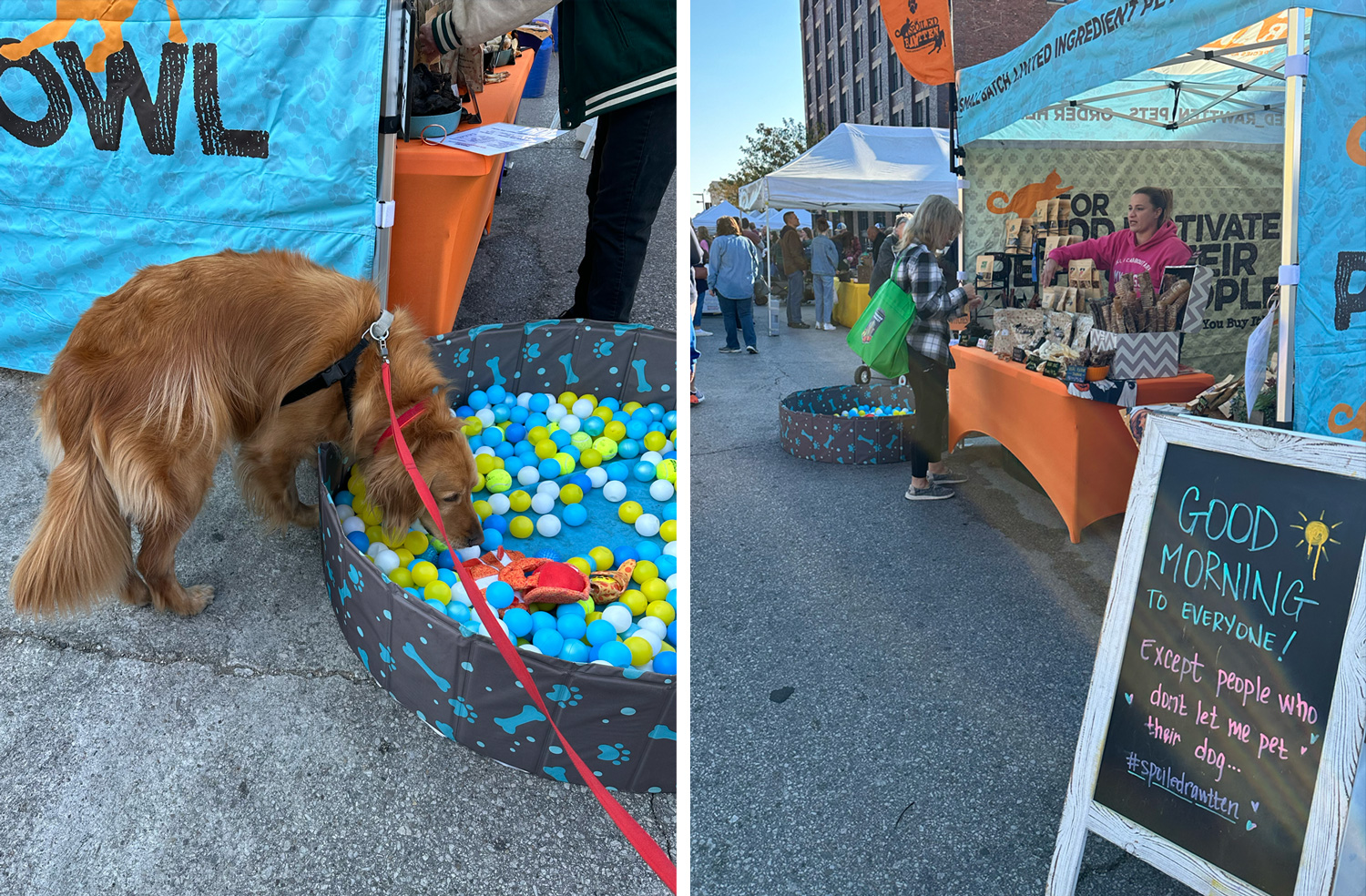 Ball pit for dogs and a vendor booth