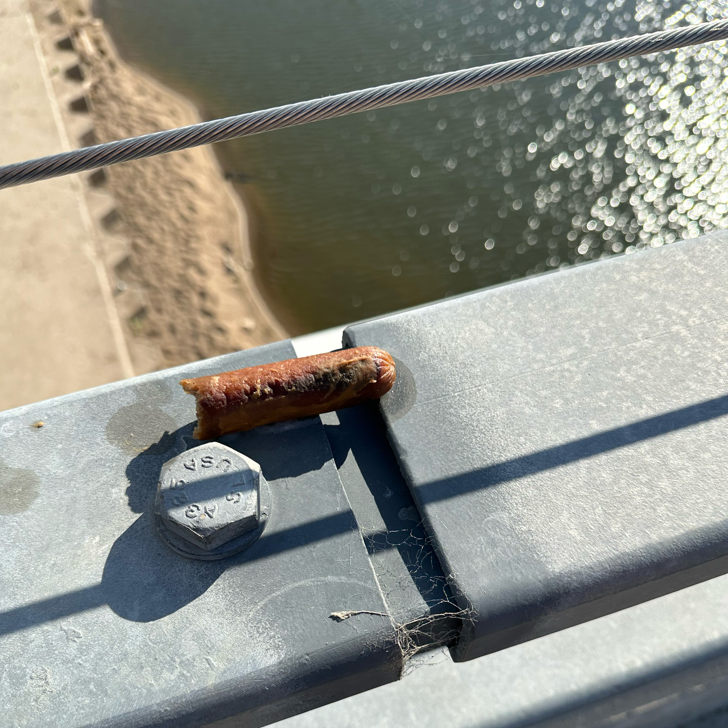 Suspicious sausage