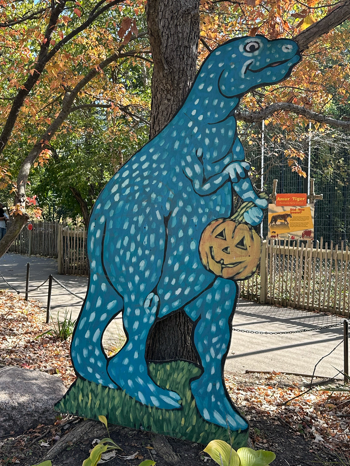 Cute dinosaur cutout at the zoo