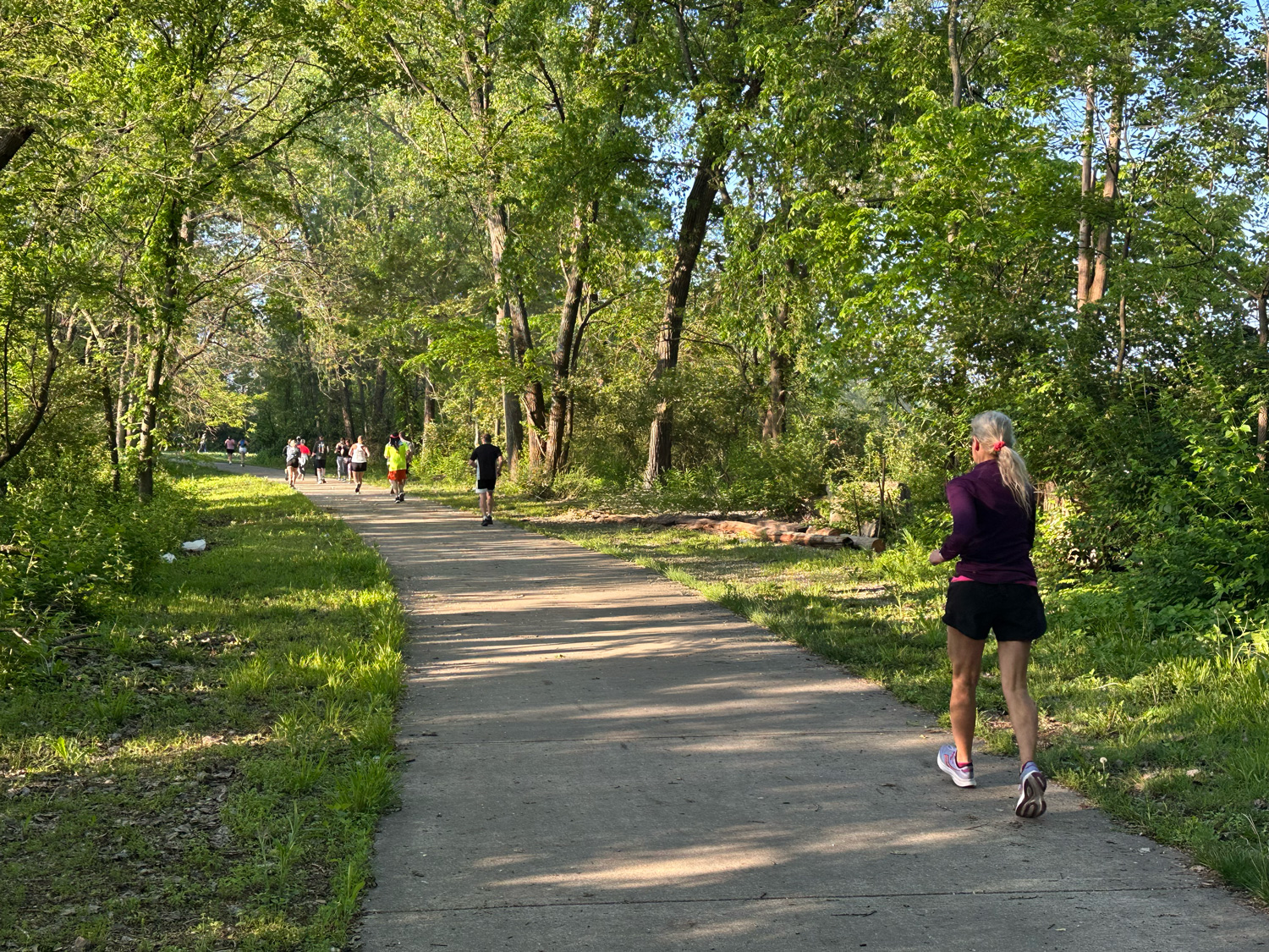 Runners on the paved trail surrounded by lush green woods