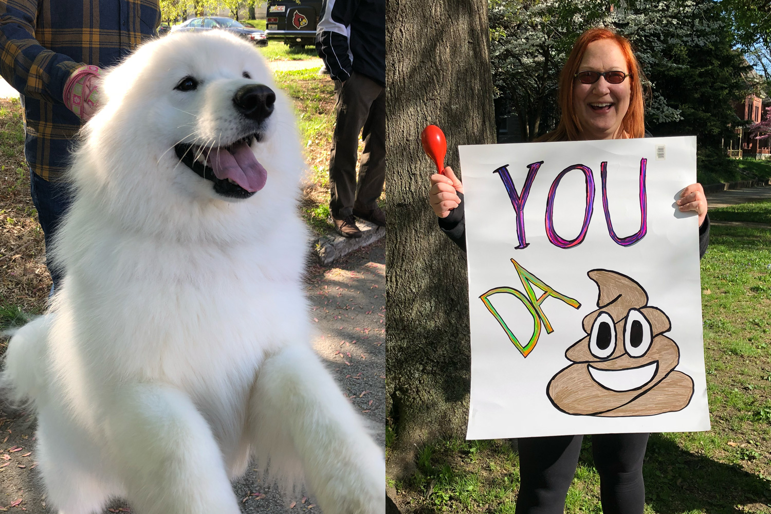 Race spectators, both human and canine