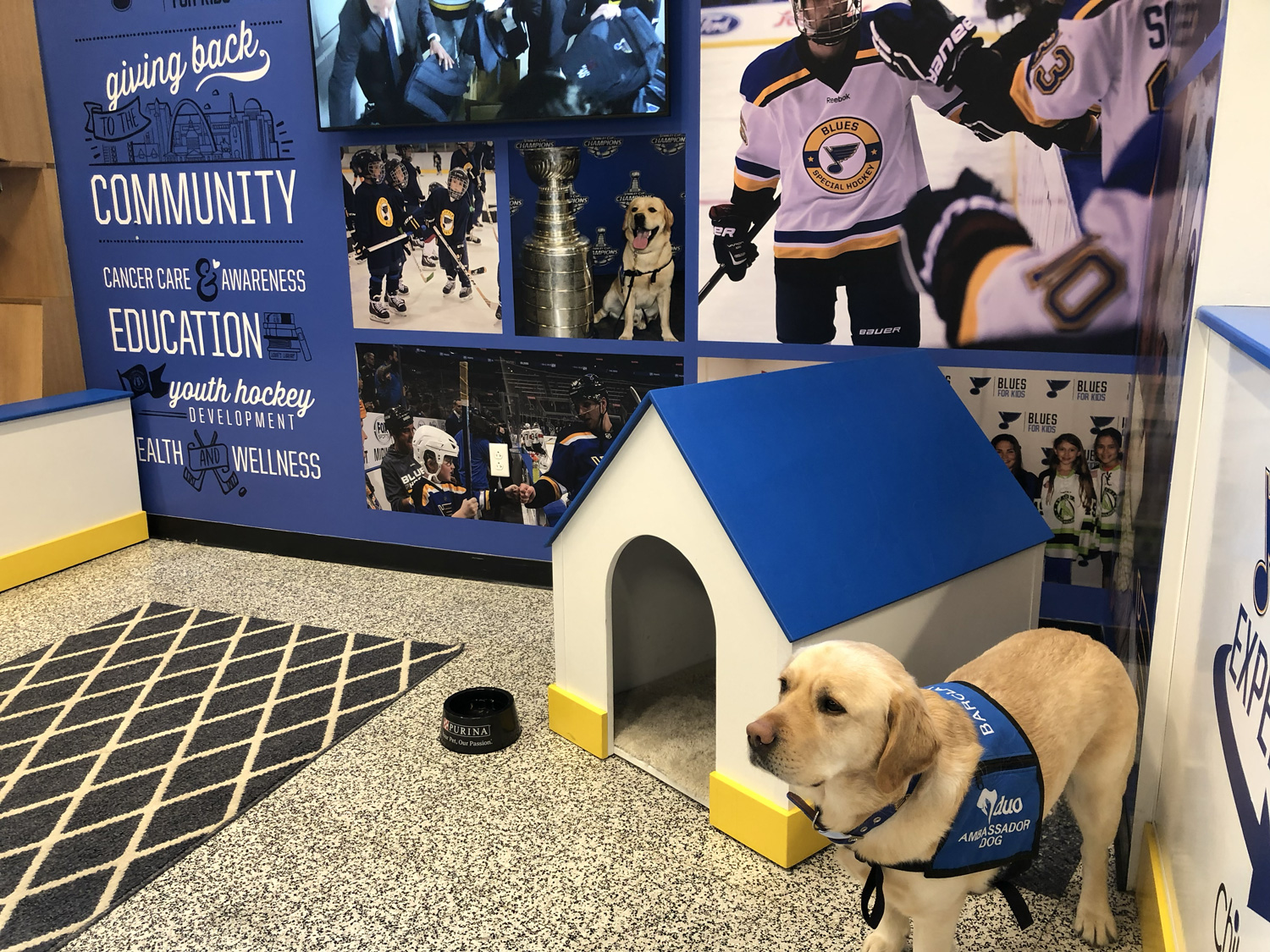 Barclay the St. Louis Blues dog