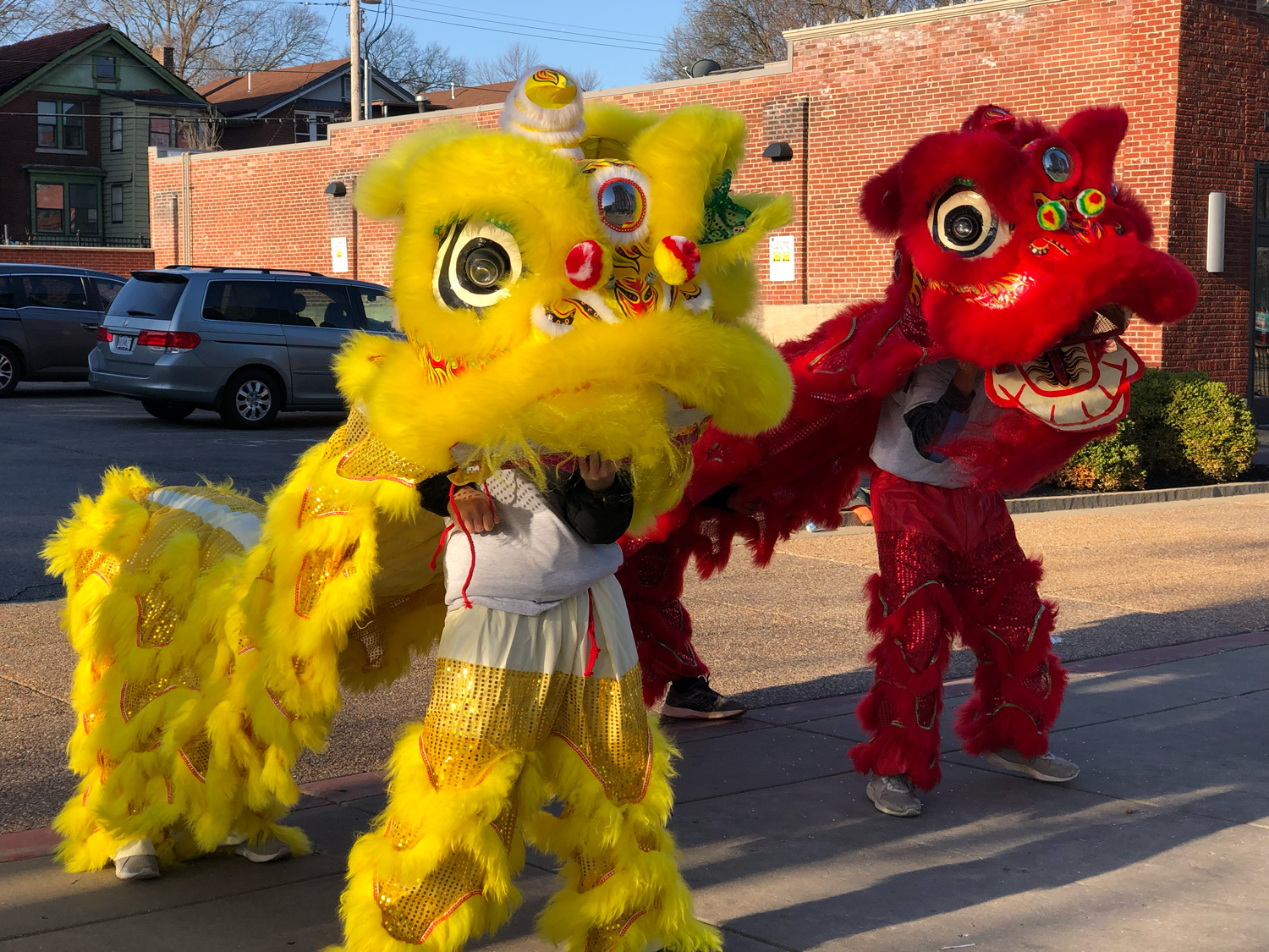 Spectators dressed like Chinese dragons