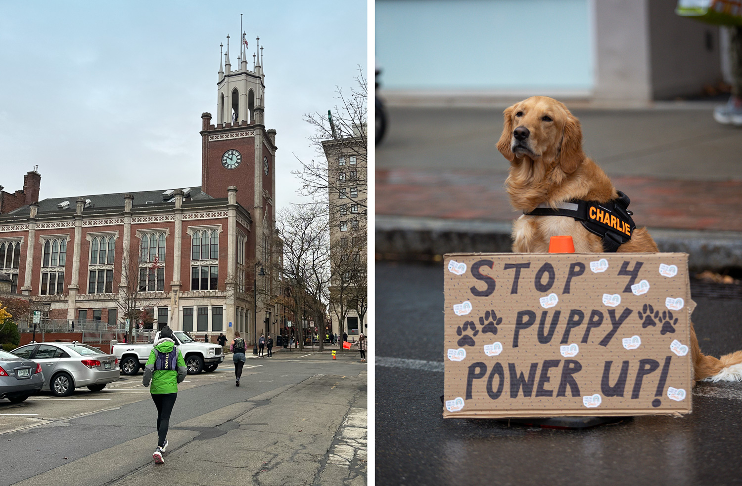 Running past city hall; Charlie the spectator dog