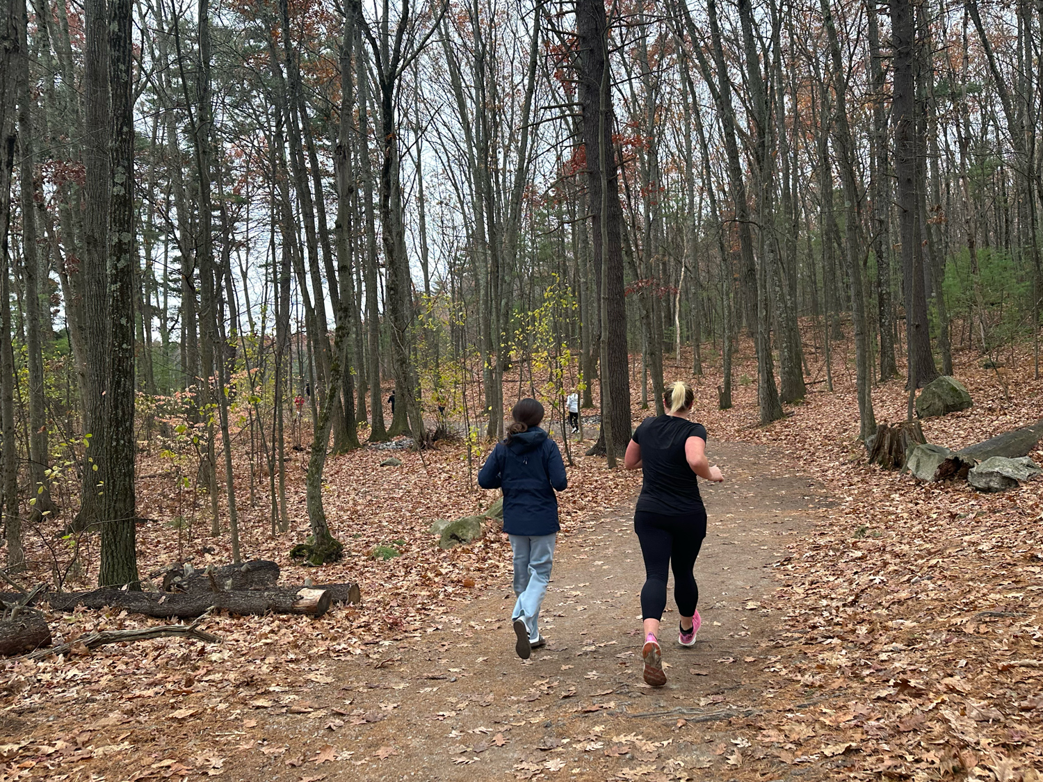 Running through Livingston Park woods