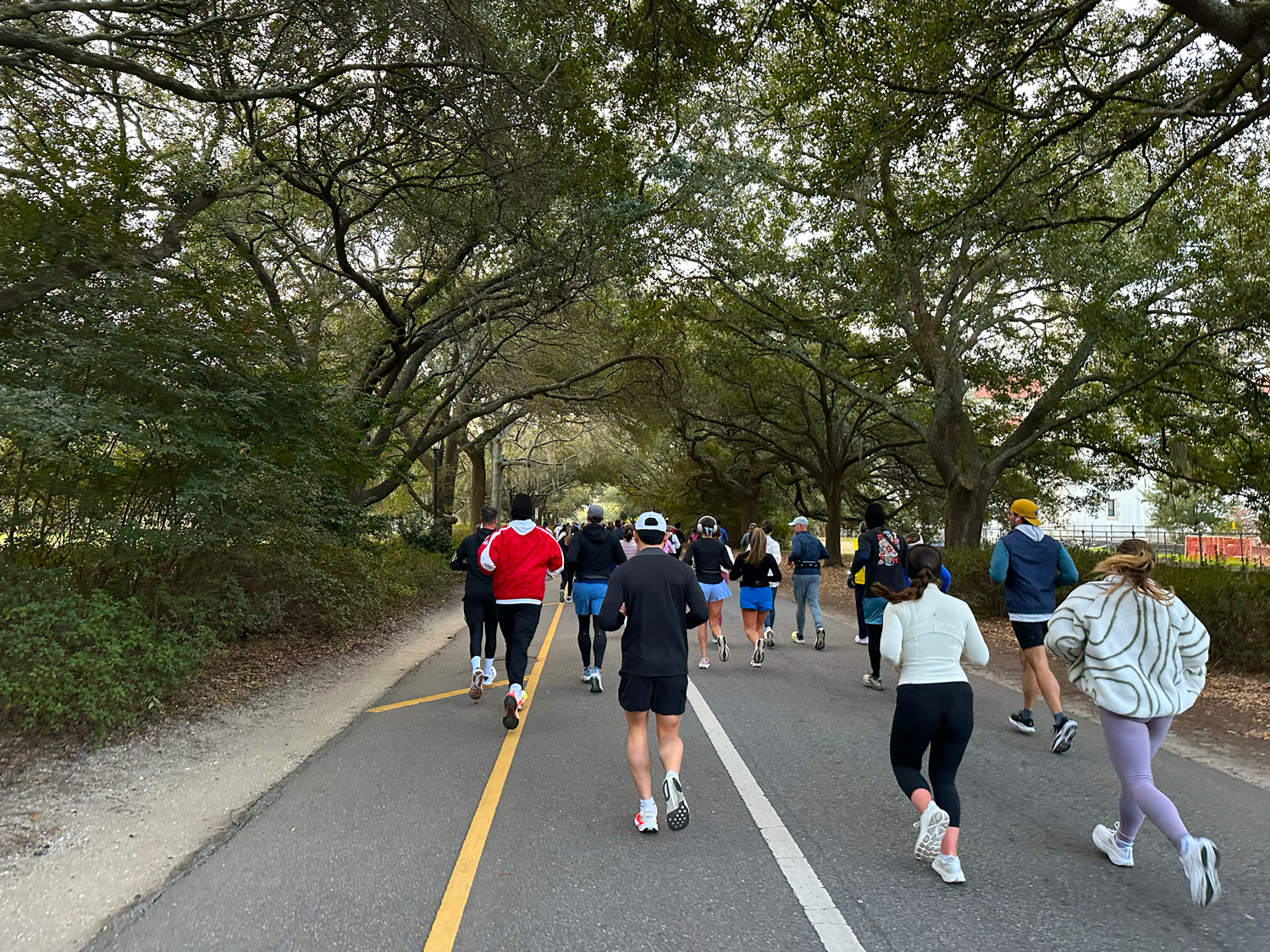 Running through Hampton Park