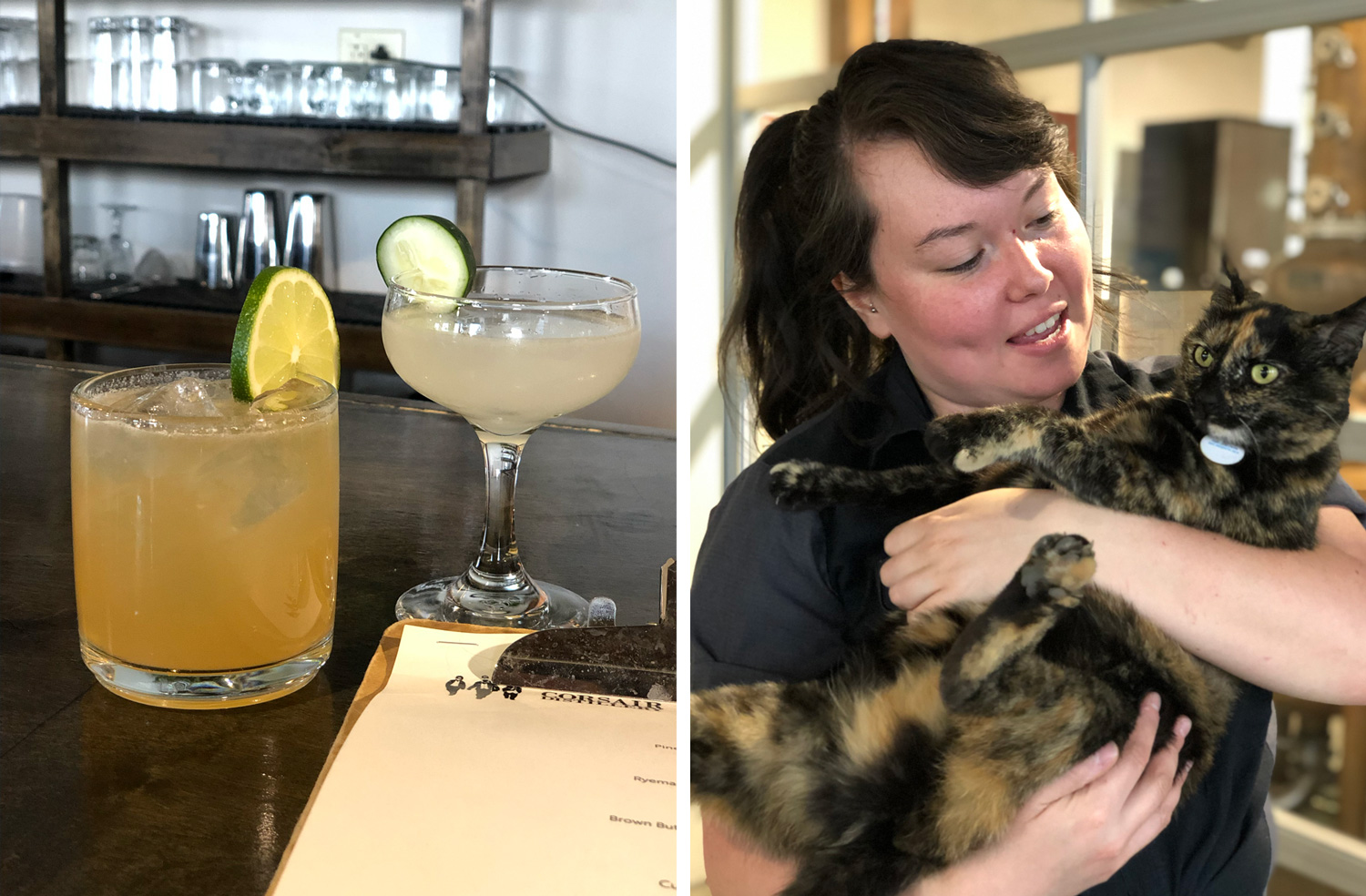 Cocktails and Pizza the distillery cat