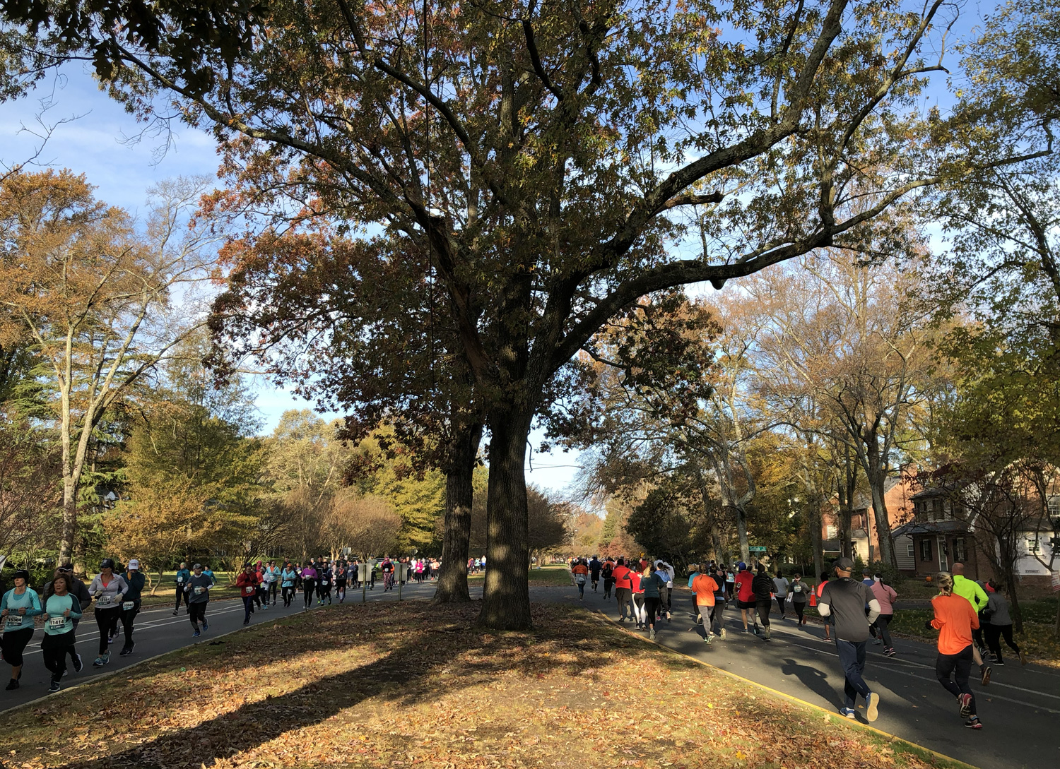 Runners through Sherwood Park